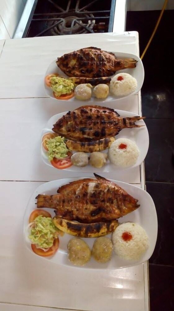 Acualandia Fish