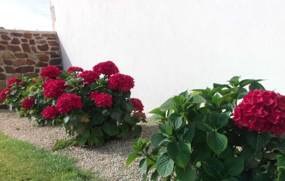 Photo 38