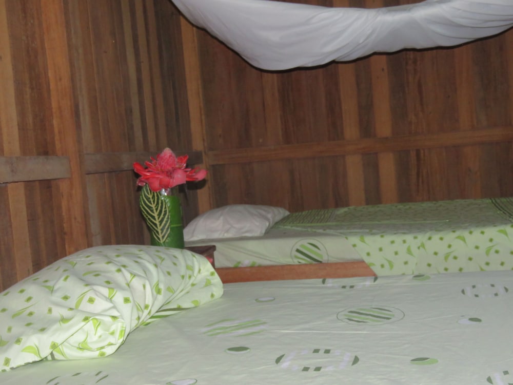 Tambopata Guest House view 5