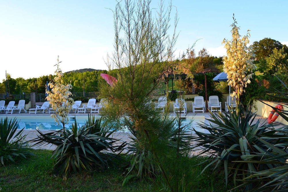 Agriturismo Collina Dei Fagiani, photo 16