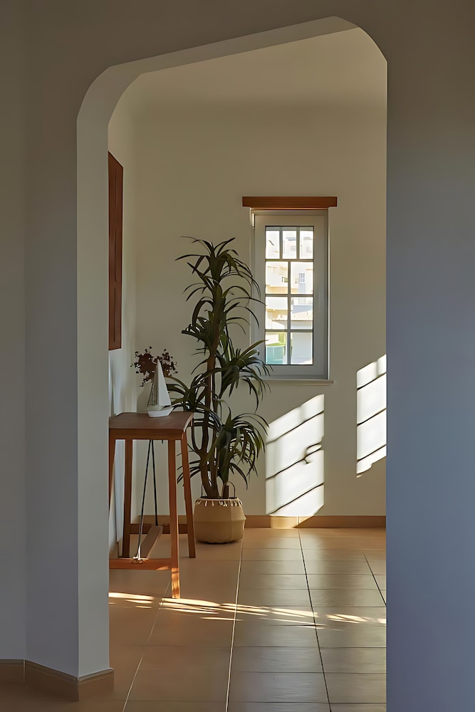 Villa Monte das Oliveiras