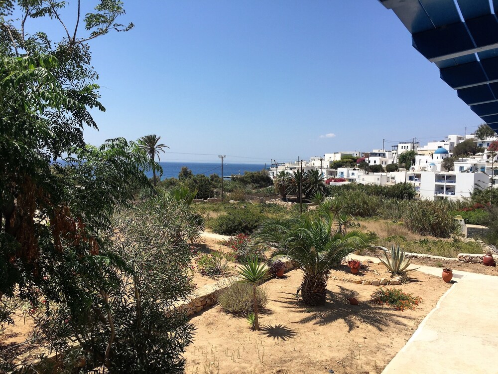 Photo 41