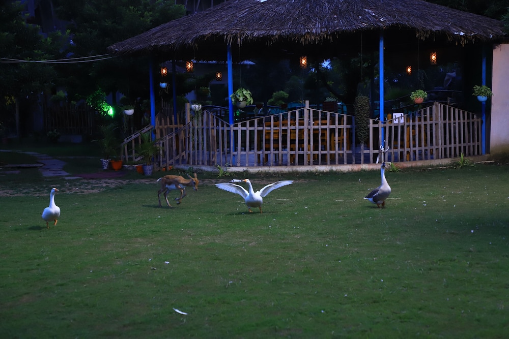 Photo 22