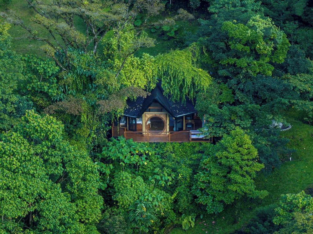 El Tigre Hideaway