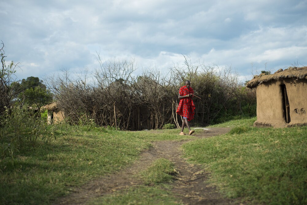 Photo 49