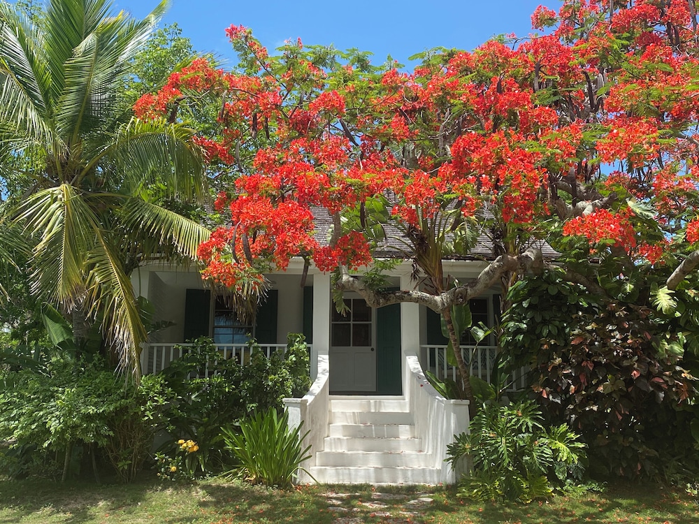Pink Sands Paradise: Luxury Estate With Pool