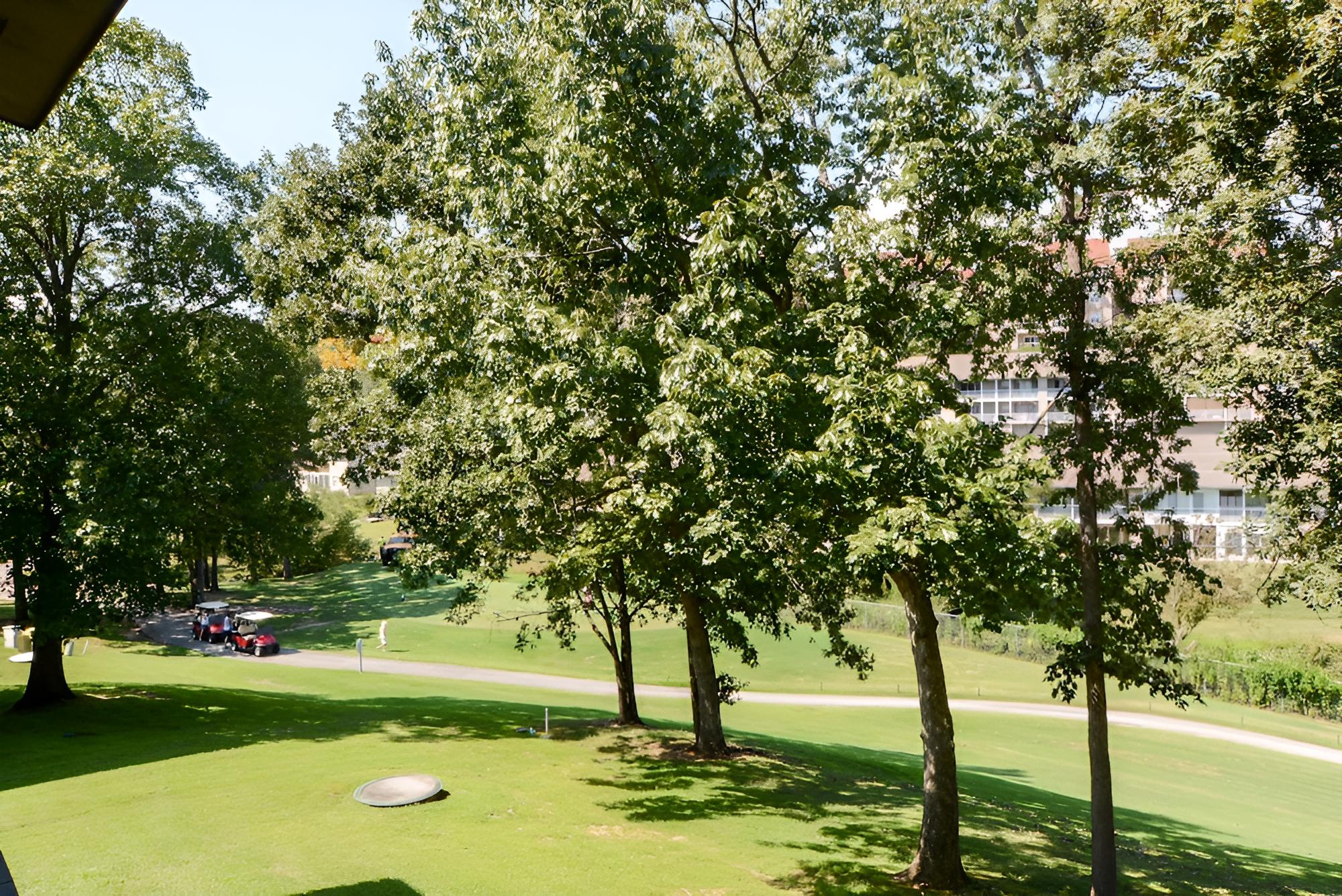 The Roost Royale view 5