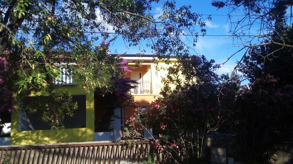 Photo 23