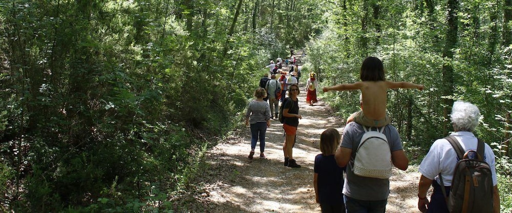 Bio Tenuta di Paganico - I Roggeti