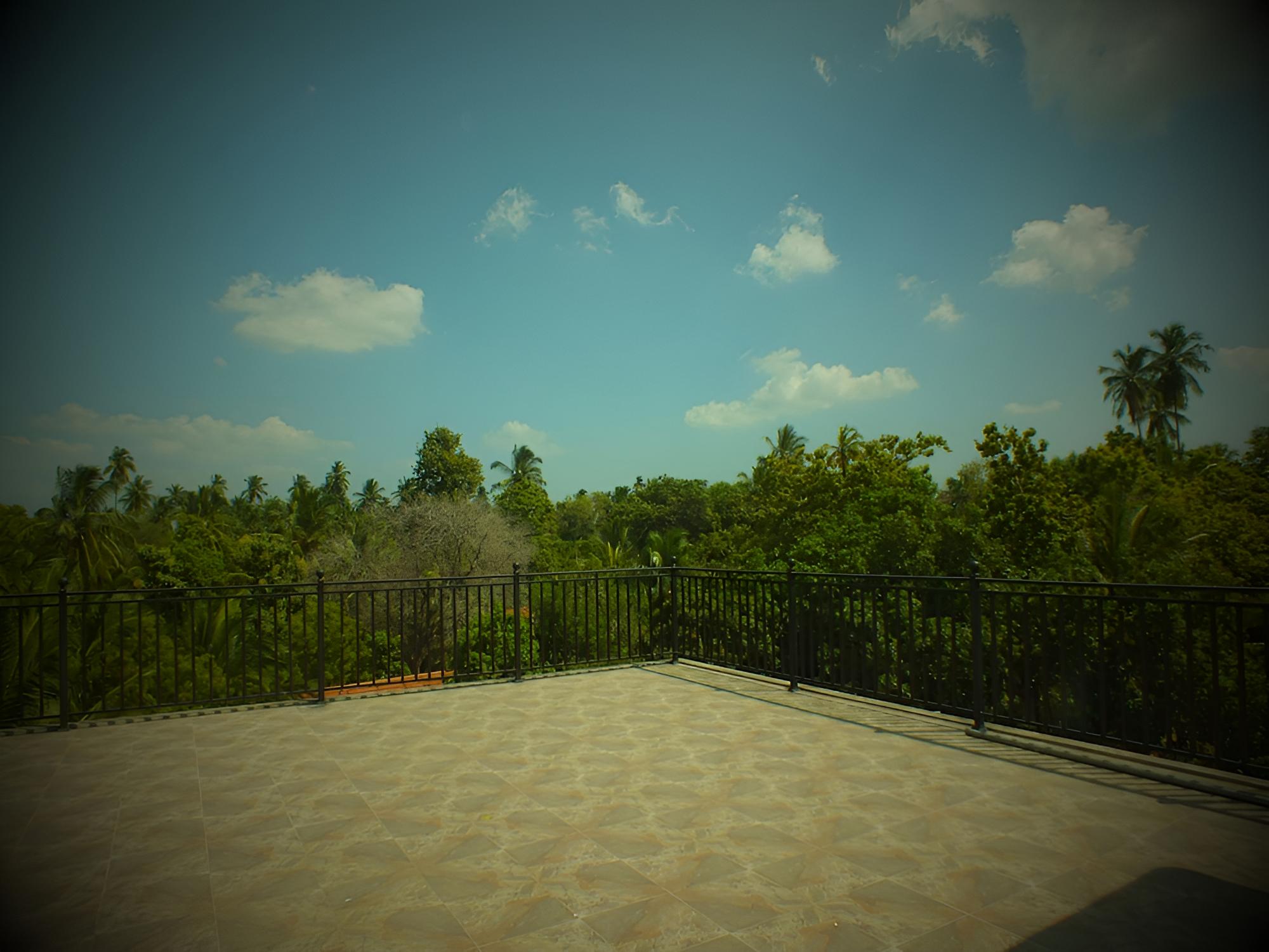Photo 31