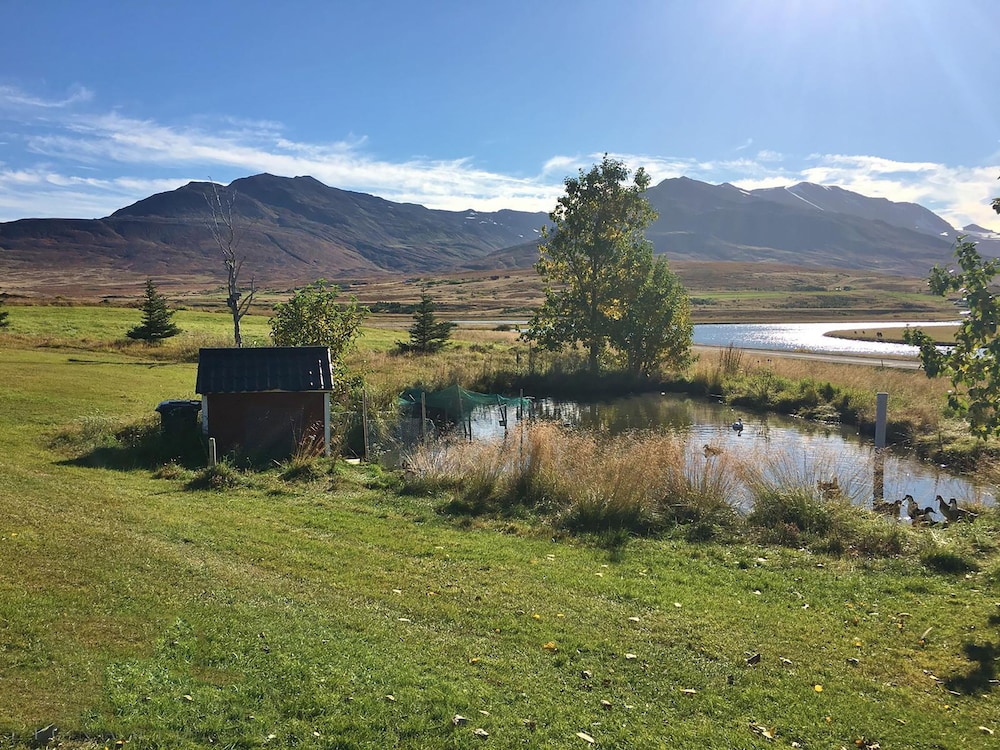 Höfði Cottages