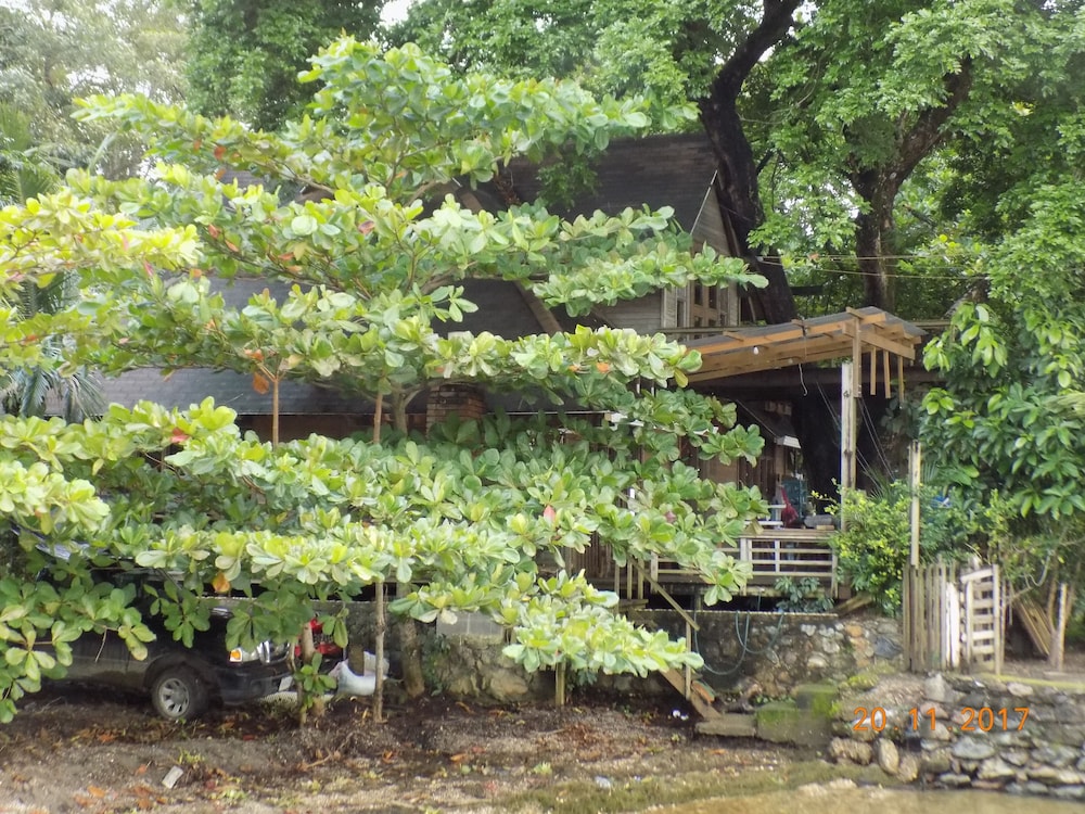Treehouse Bungalow