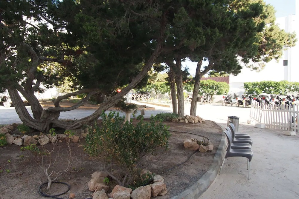 Photo 18