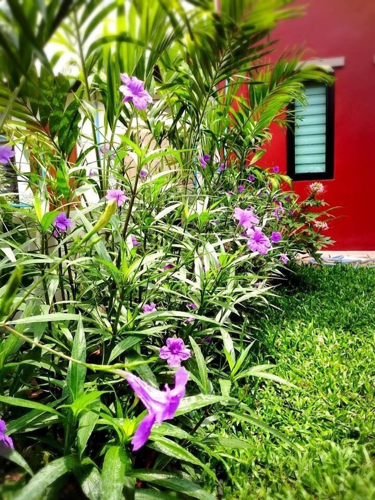 Mulberry House Korat