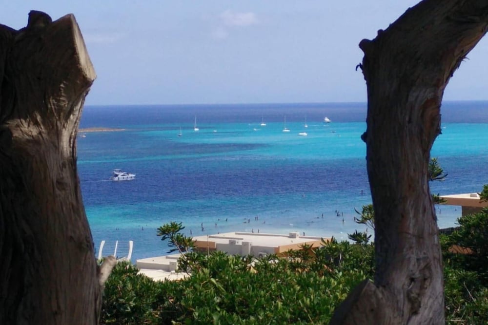 Sardinian Villa Enjoy Stintino With Your Pets !