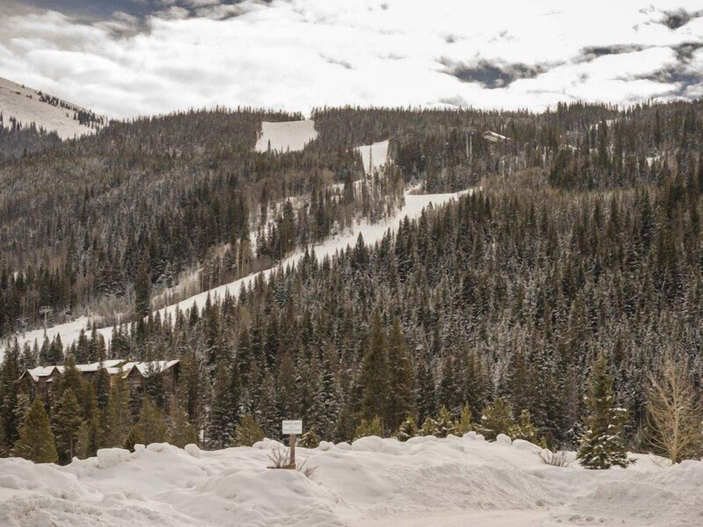 Snake River Village 3 Bedroom Apartment by Key to the Rockies