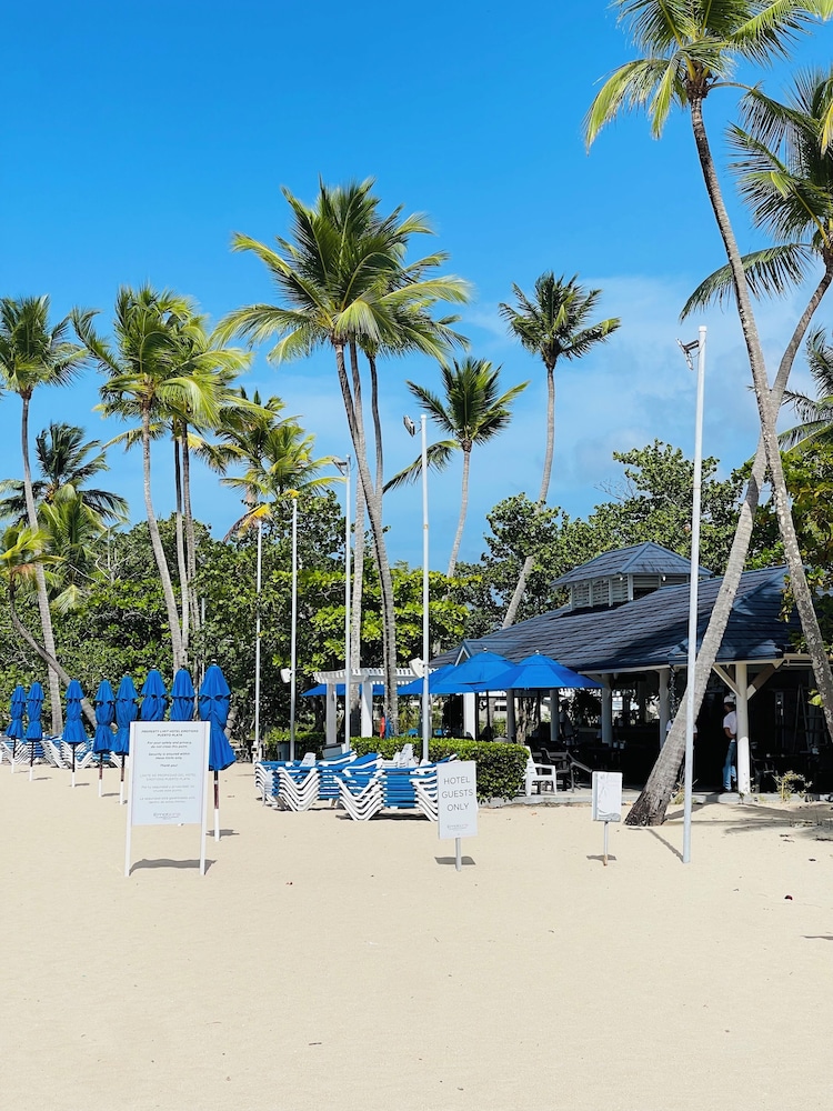 Playa Dorada King Bed Beachfront