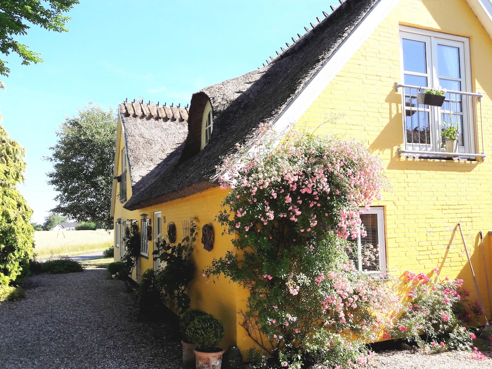 Bella Bed and Breakfast Stevns