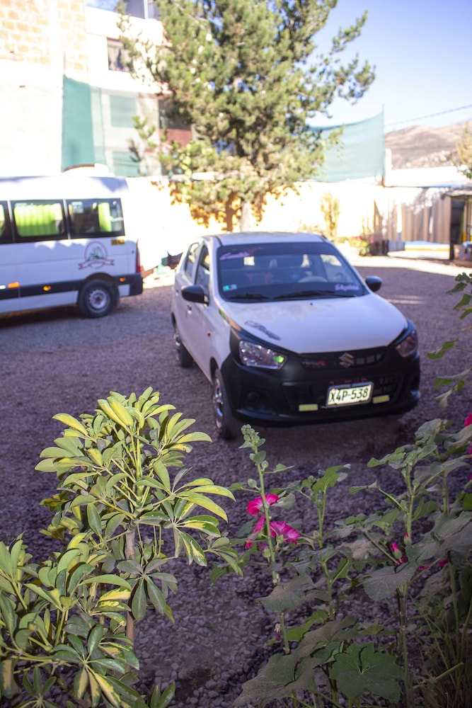 Photo 6