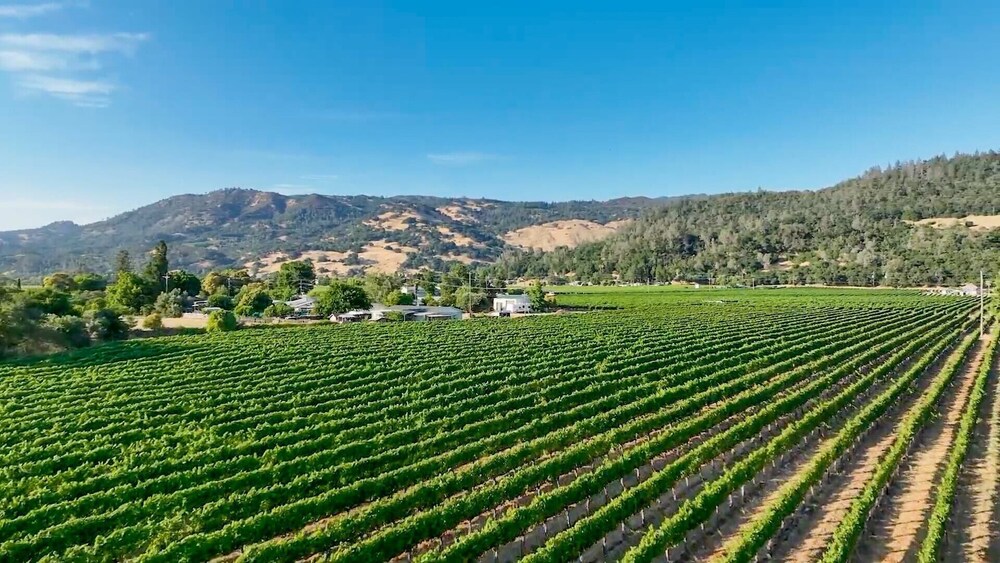 Chianti by Avantstay Stunning Secluded Ranch w/ Pickleball Court & Barn view 3