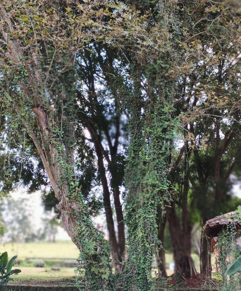 Hotel Fazenda Vale Formoso