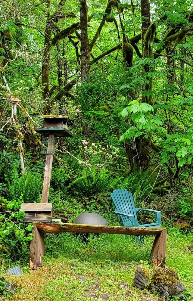 Welch Cabin - A License to Chill
