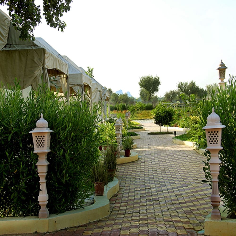 Photo 24