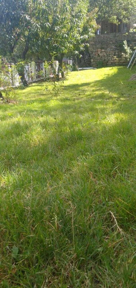 Kafal Pako Resort - Luxury Mountain View Stay in Mukteshwar