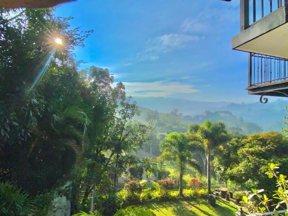 Villa Shungite