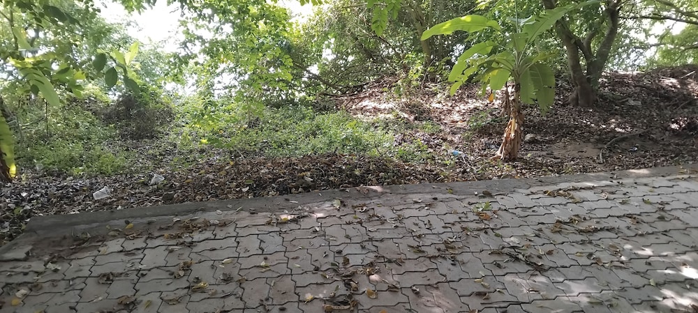 Pavanputra Resort Hassan