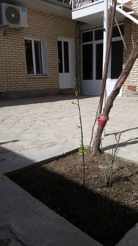 Payraviy Guest House - Hostel