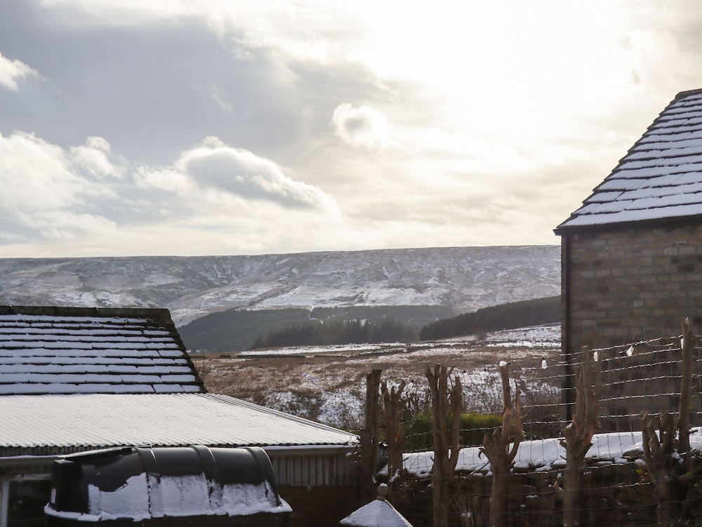 The Shearer's Hut