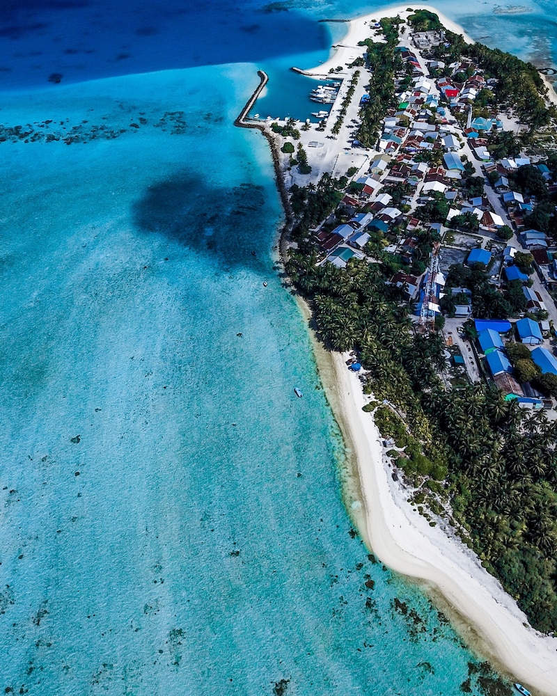 Hide Inn Blue photo 3