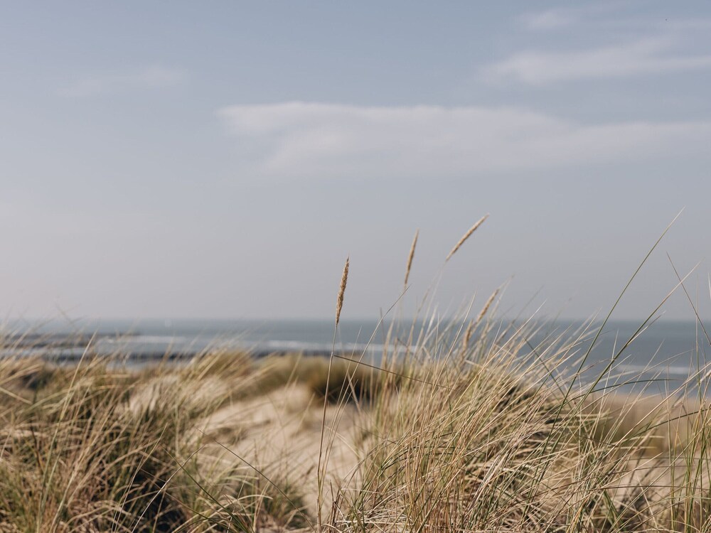 Holiday Home Near North Sea Beach, Breeduyn