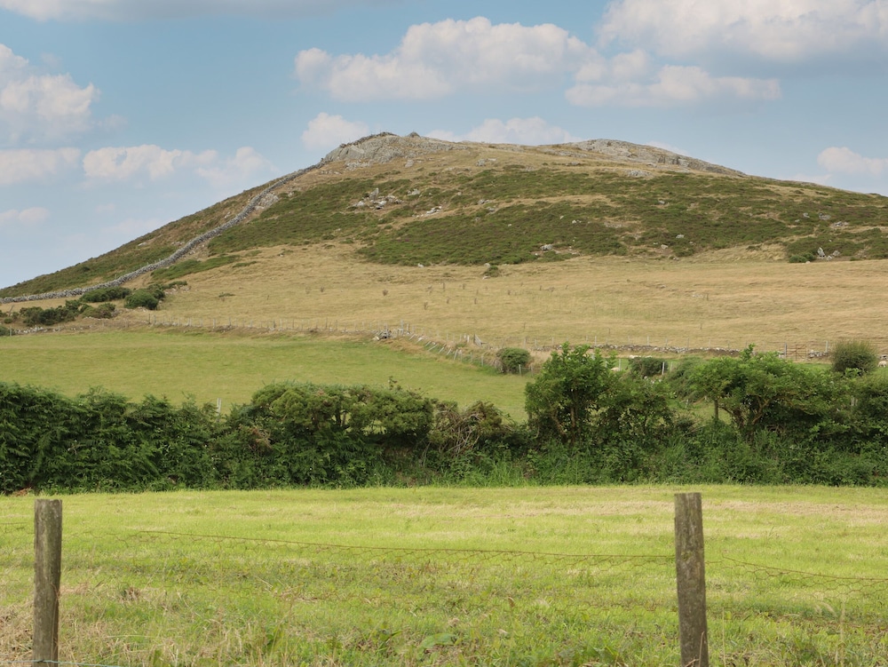 Cae Berllan