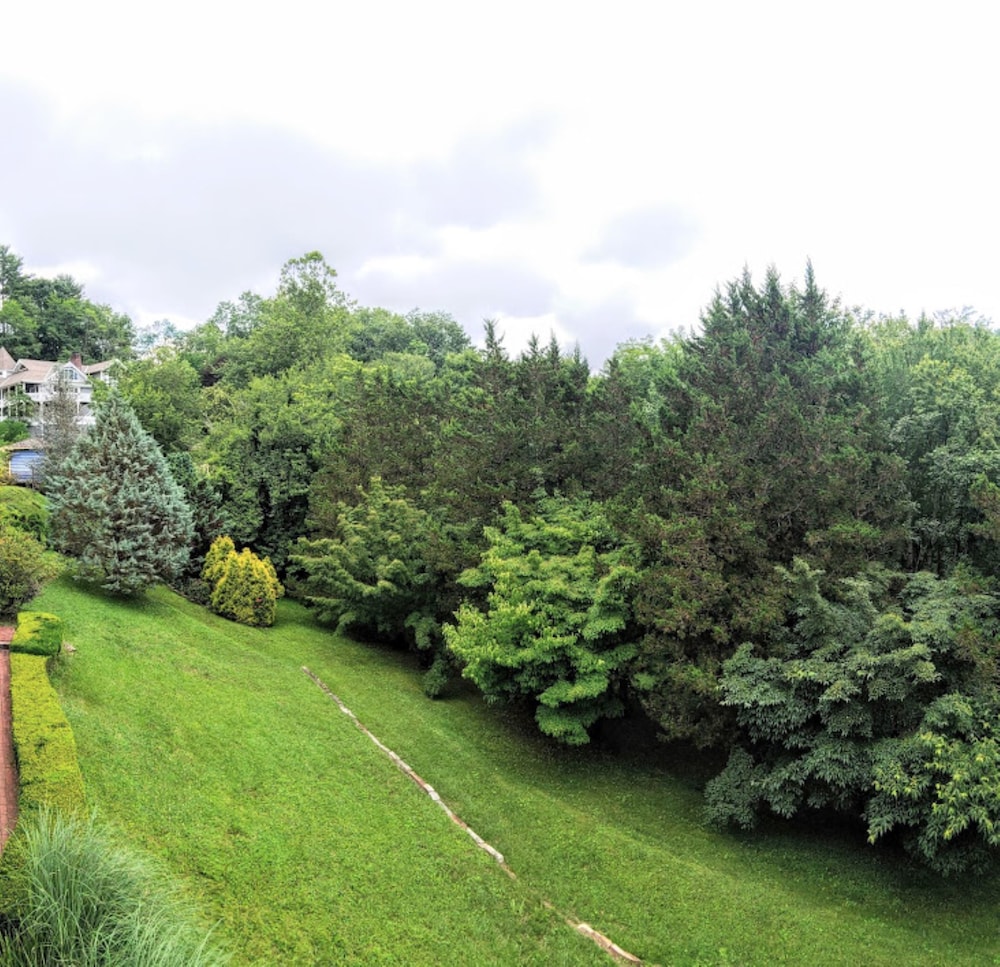 Innisfree Boutique Inn By-The-Lake