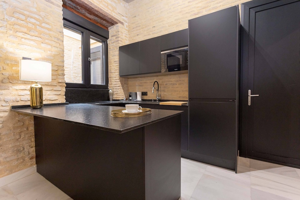 Amazing Apartment in Seville Center Acetres II