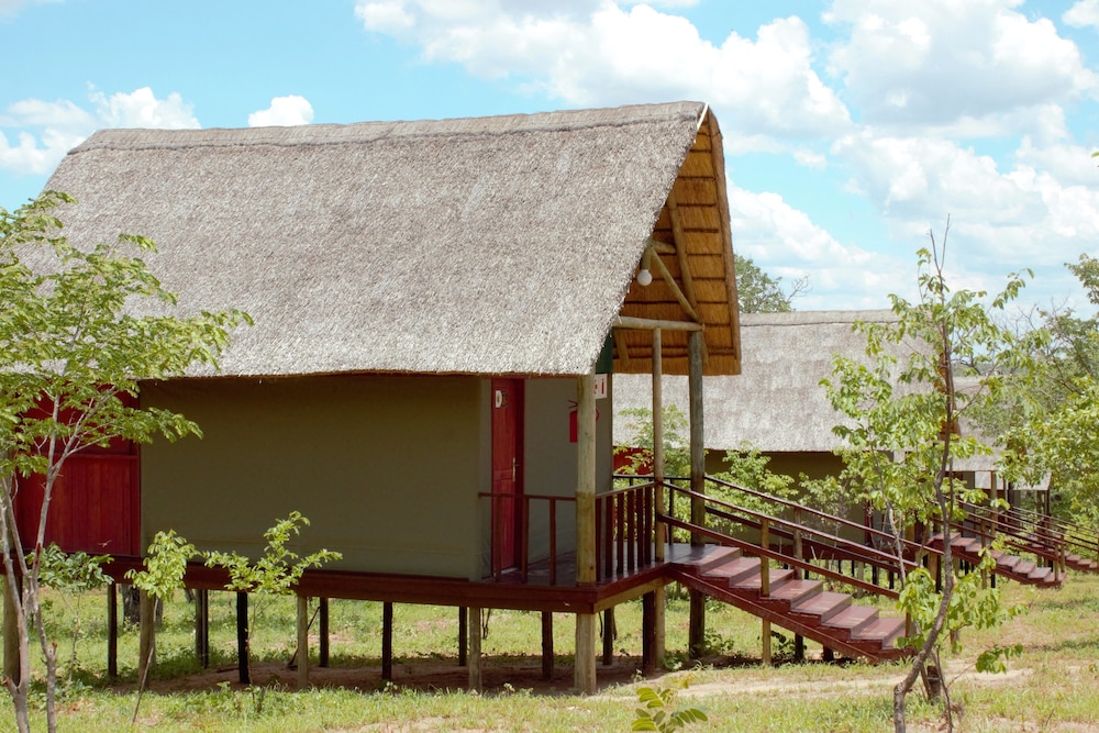 Lion Roars Lodge