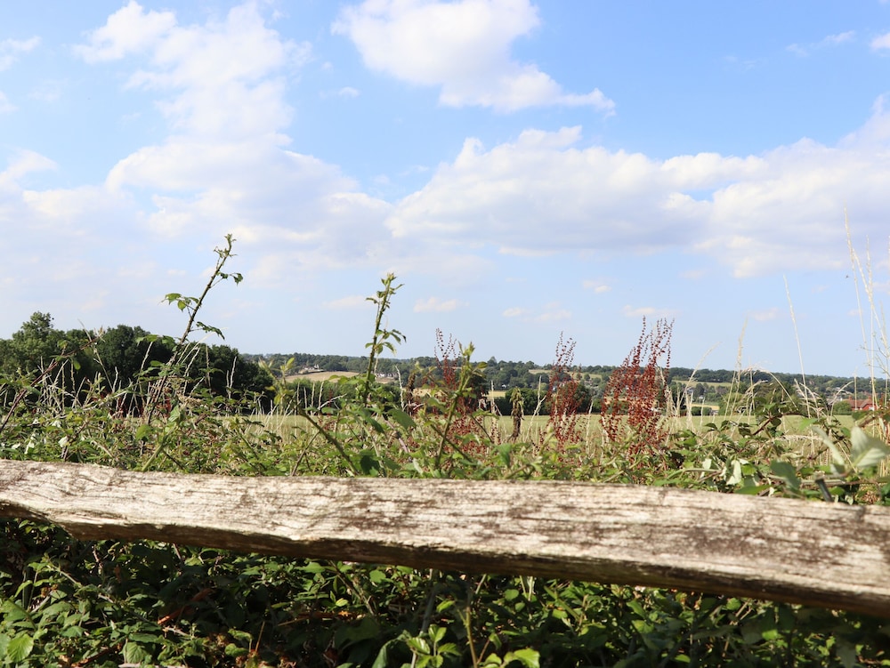 The Orchard