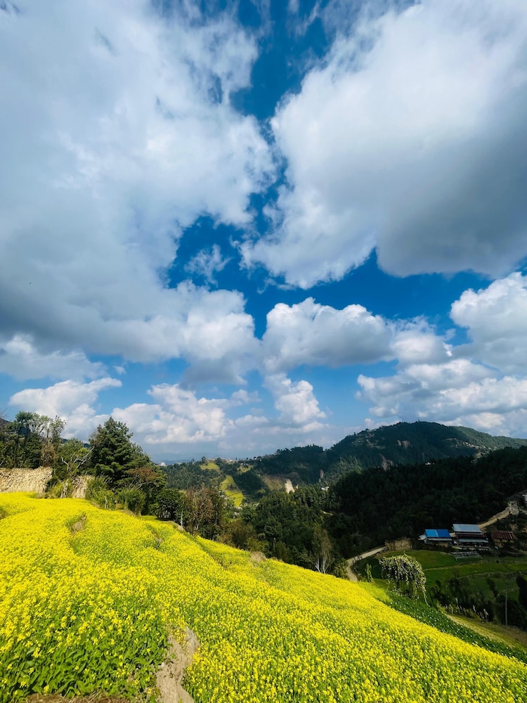 Lekali Home & Organic Farmstay