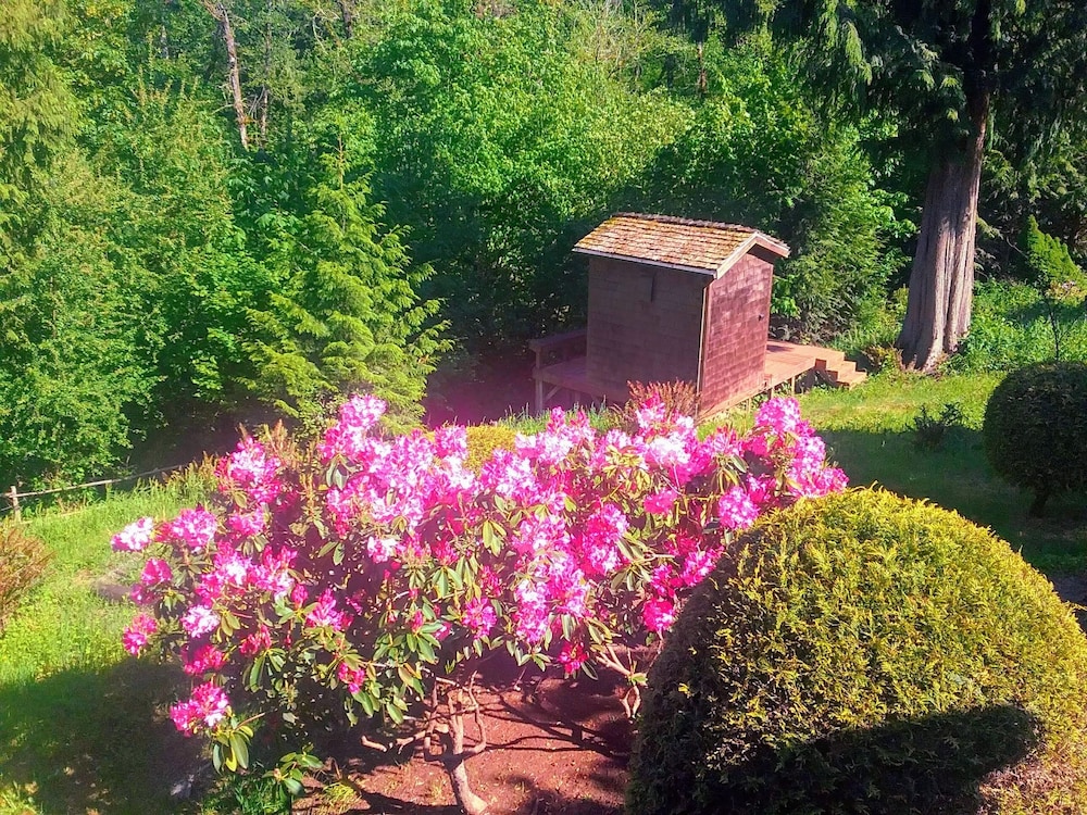 MapleRidge House: A BnB For All Seasons!