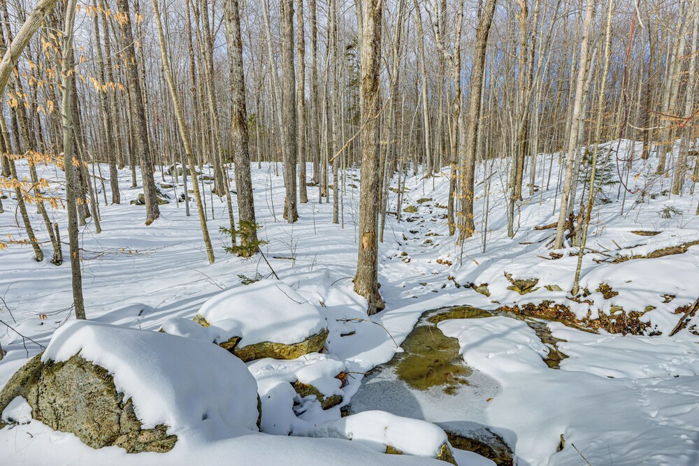 Stratton Mtn Ski Chalet w/ Giant Views in Winhall