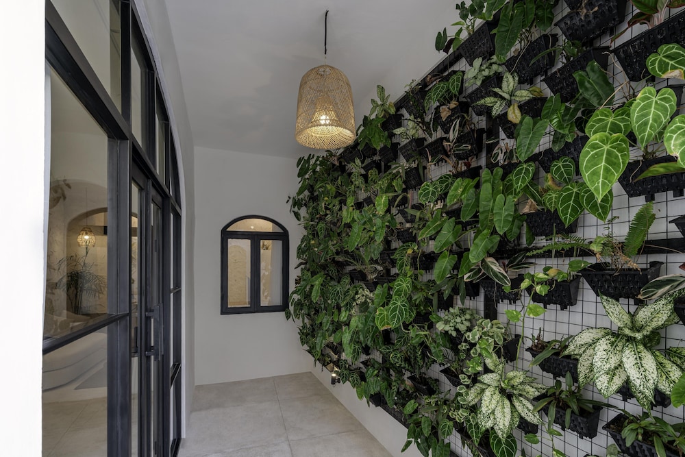 Casa Amor by GORO