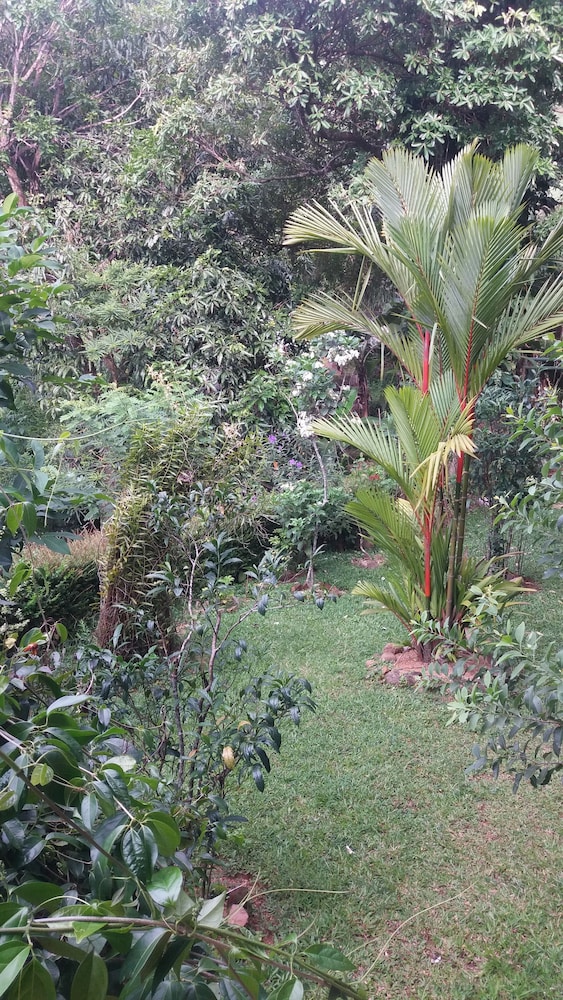Ka Mario Guesthouse