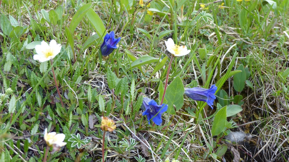 Photo 35
