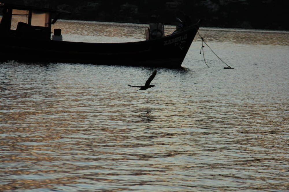 Lagoa Nômade
