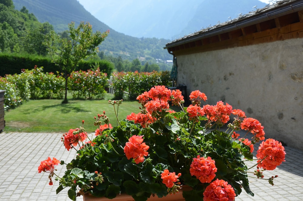 Appartamento Con Giardino view 4