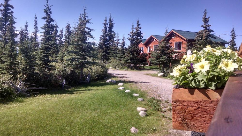 DENALI'S ALASKAN SPRUCE CABINS