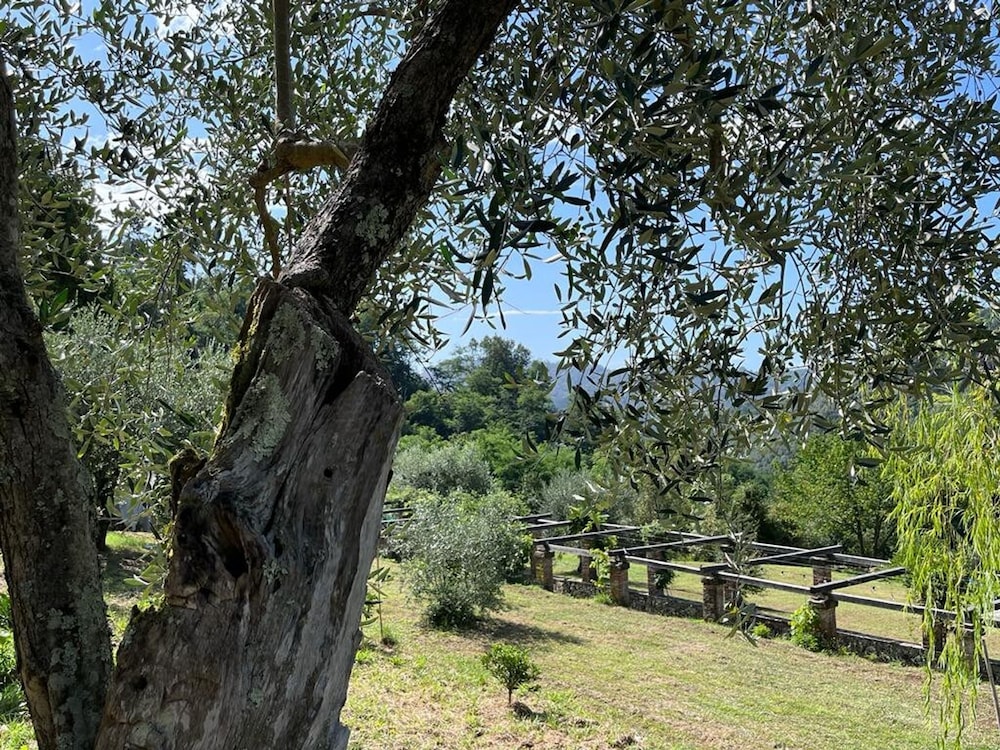 Casale Rustico con Piscina Privata e Ampio Parco