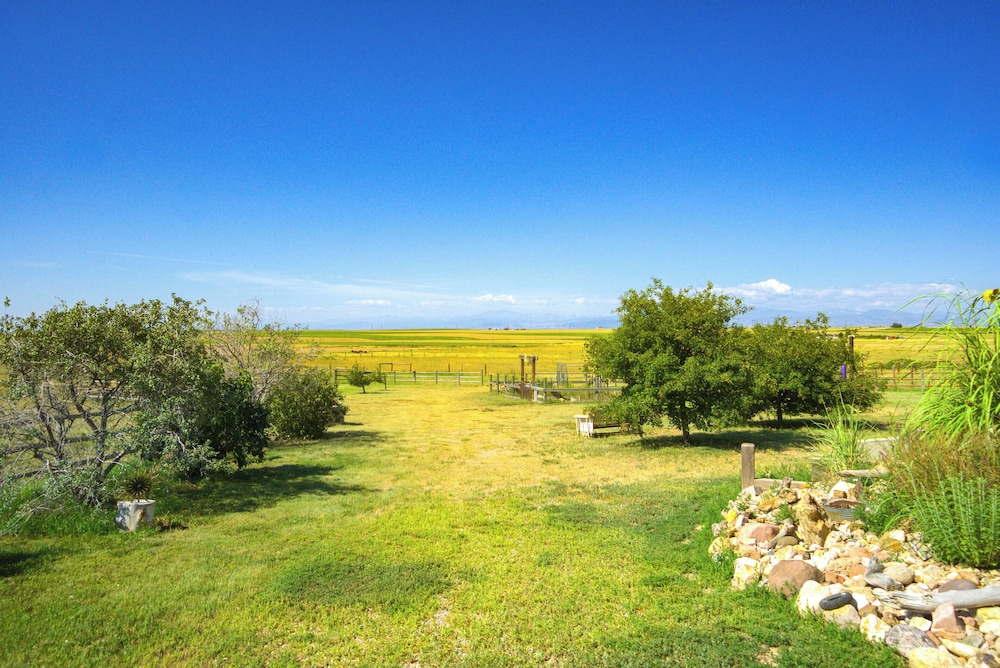 Yak Ranch w/ Mountain Views, Near Wellington!